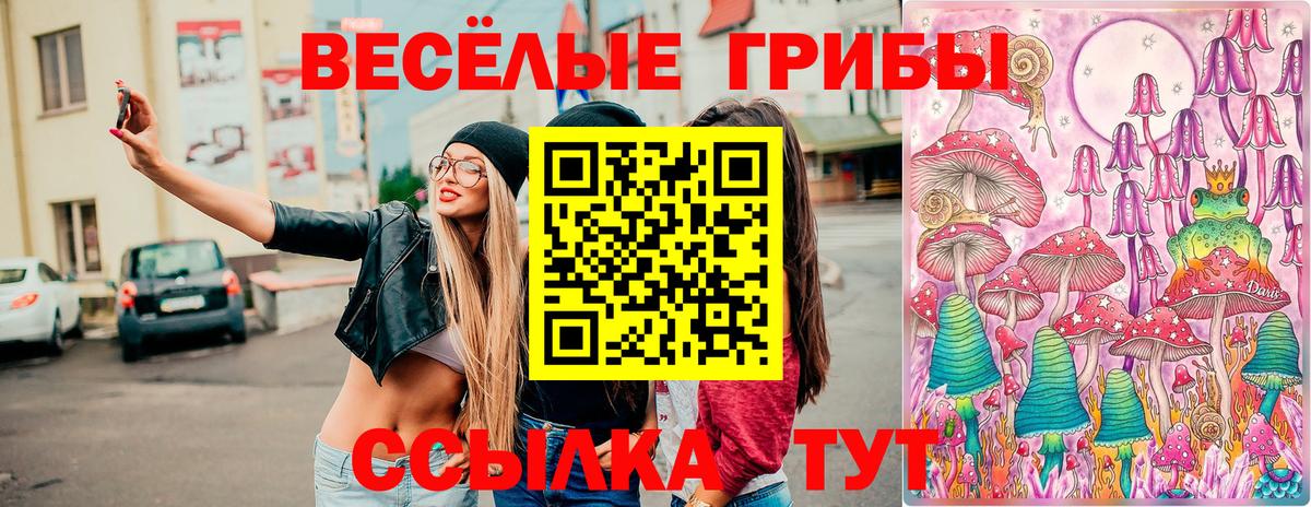 Обнинск  Галлюциногенные грибы Magic Shrooms  купить   Вход с VPN 