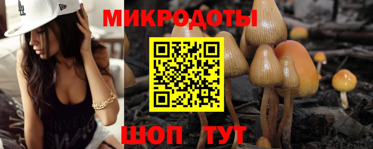 Галлюциногенные грибы мицелий Обнинск